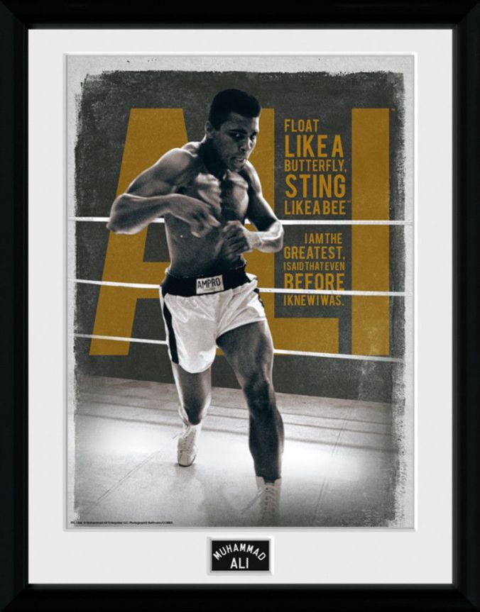 0d60355a75f2dbd4e81bd7c74e885433